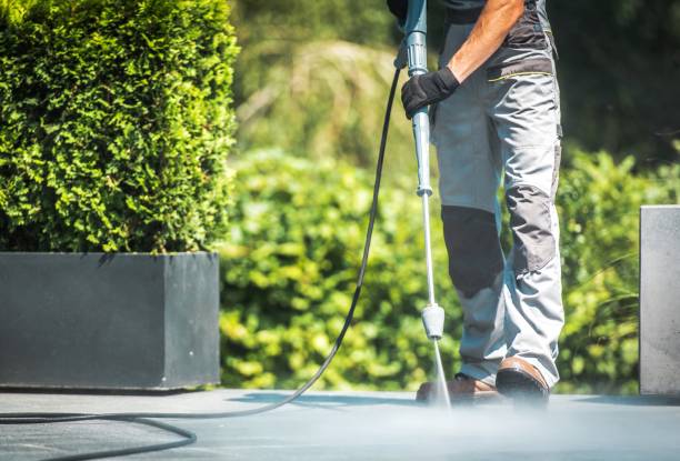 Pre-Holiday Cleaning in Ely, IA