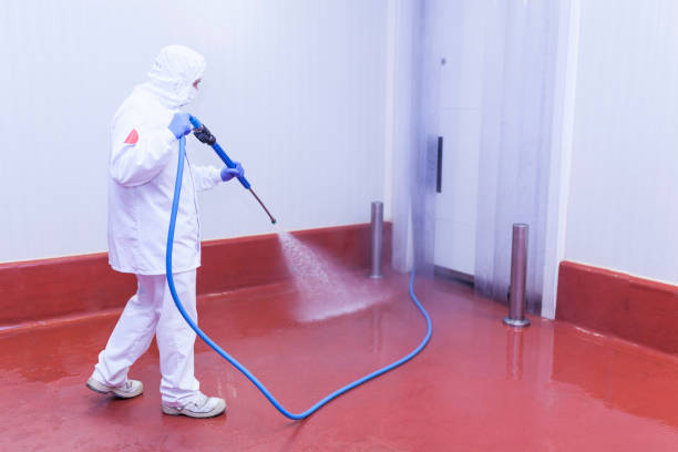 Best Sidewalk and Walkway Cleaning  in Ely, IA